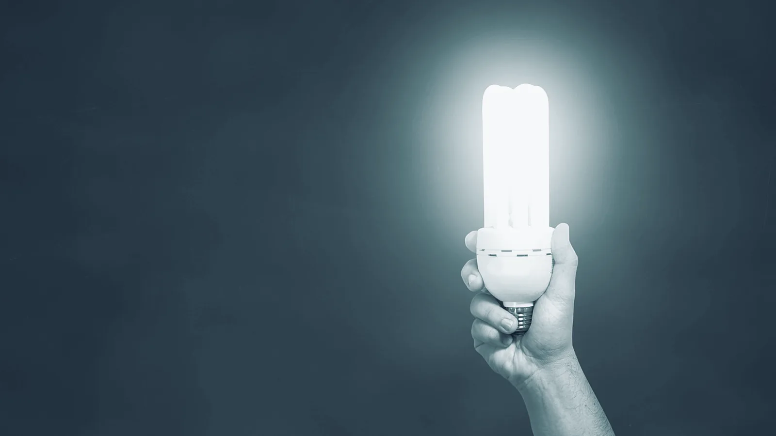 Eine Reihe Lampen, von denen niemand mehr weiß, wozu sie leuchten